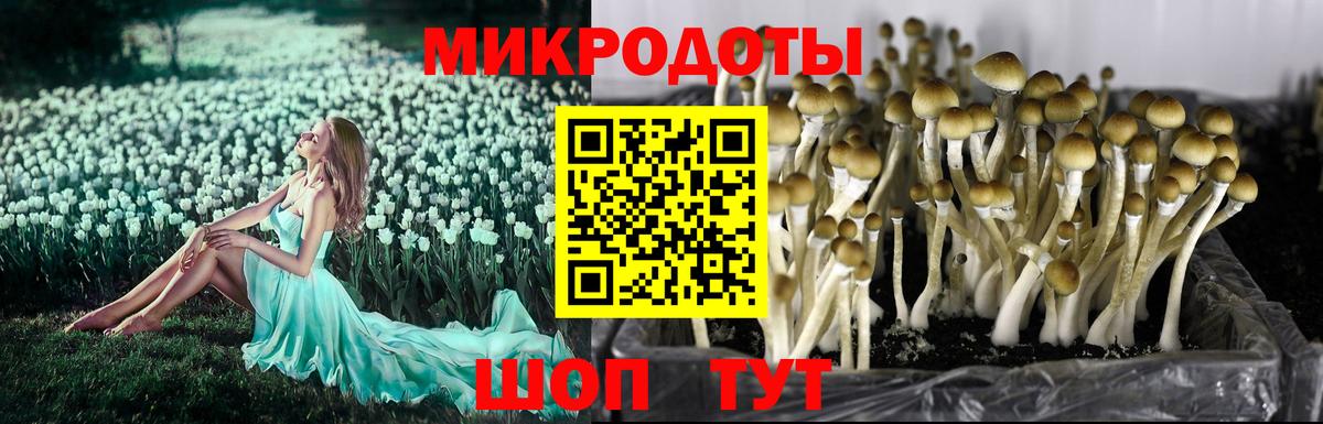 Галлюциногенные грибы Magic Shrooms Нефтеюганск